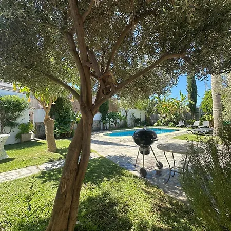 Andaluza Jacuzzi Piscina Palmeras