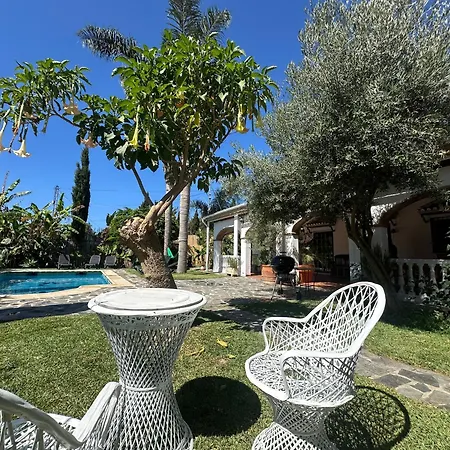 Andaluza Jacuzzi Piscina Palmeras Villa *